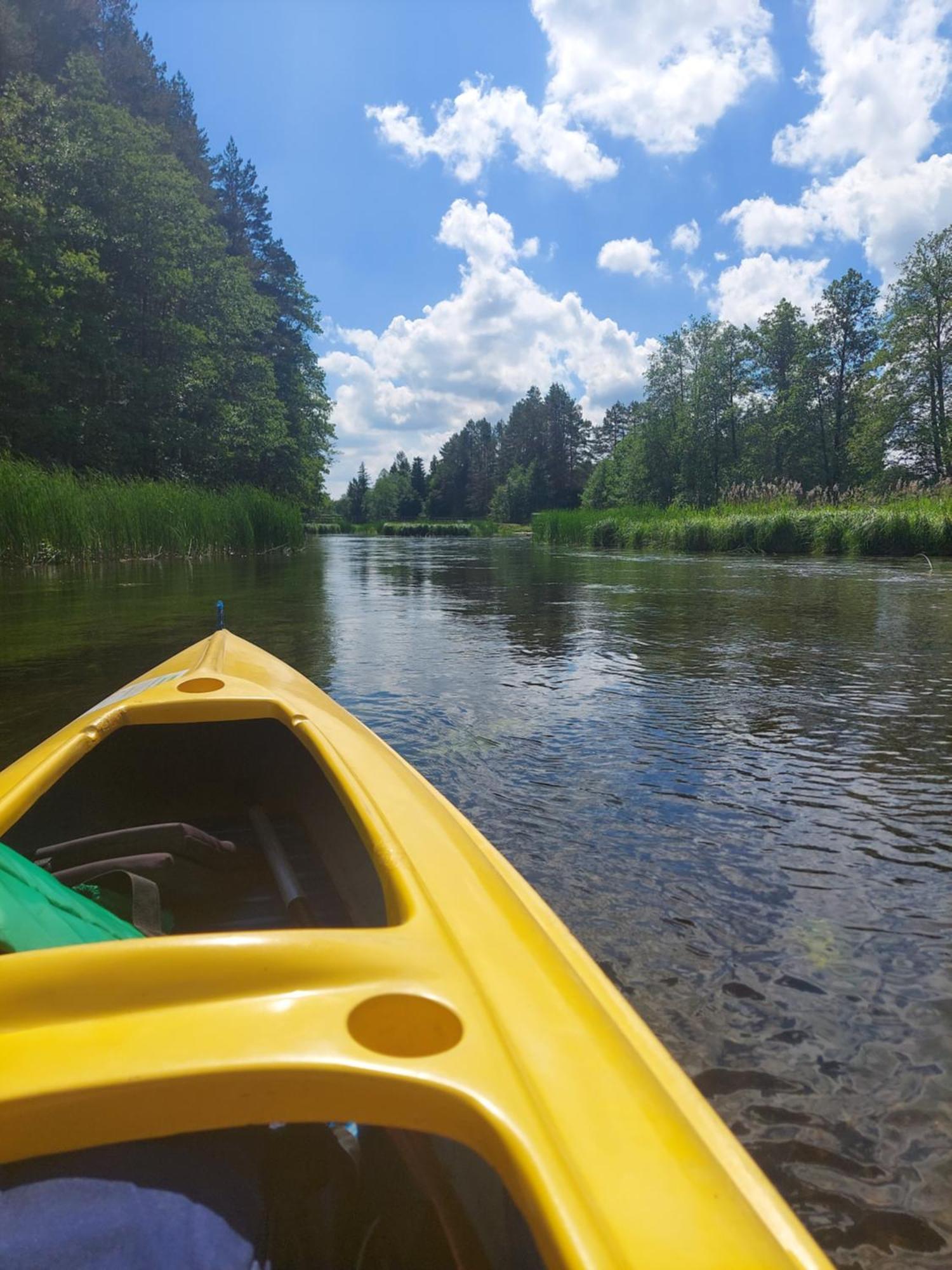 Domki Na Chabrowej Augustów Buitenkant foto