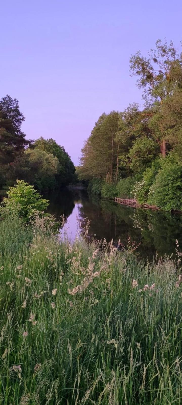Domki Na Chabrowej Augustów Buitenkant foto